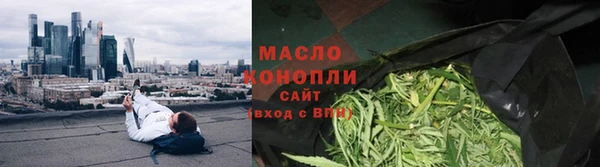 шишки Бородино